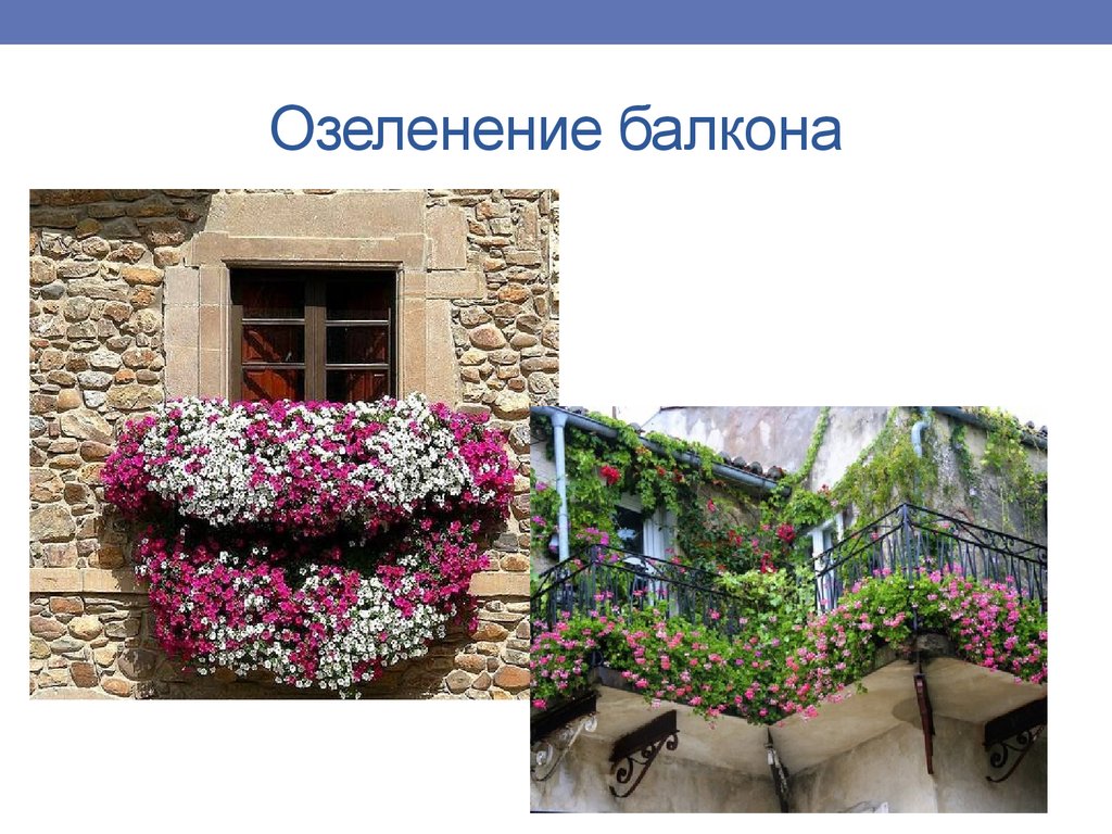 Озеленение балкона