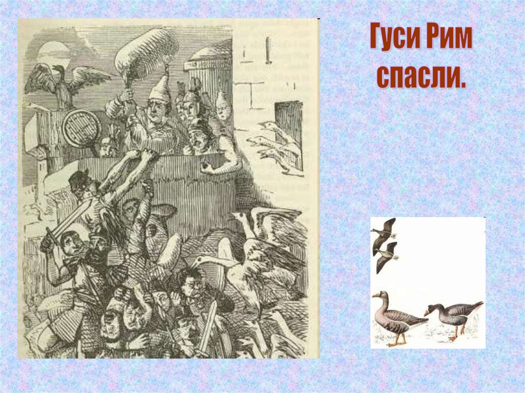 Как возникло выражение горе побежденным история. Гуси спасли Рим. Раскраска как гуси Рим спасли. Легенда о гусях которые спасли Рим. Легенда как гуси спасли Рим.