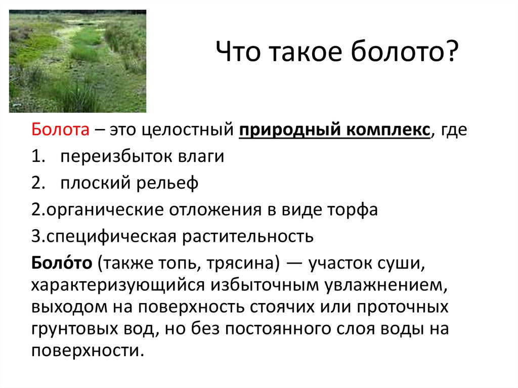 Болота конспект. Болота доклад. География болот. Болота 6 класс география. Болота это в географии.