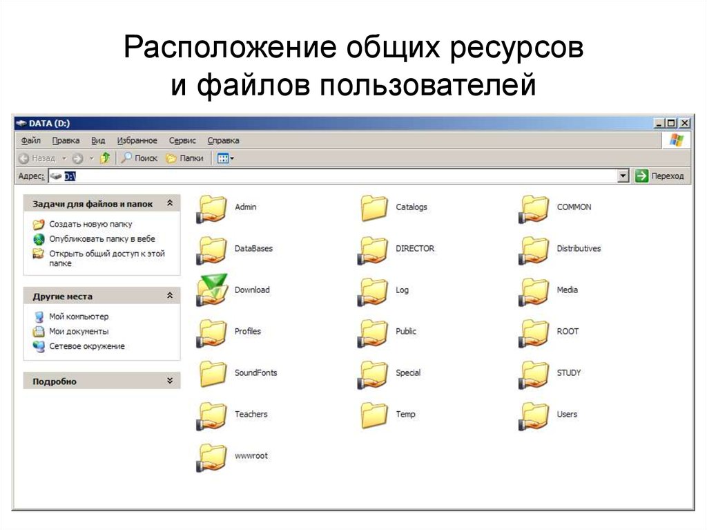 Общий расположить. Сетевые файловые ресурсы. Общий файловый ресурс. Архитектура папок на ПК. Файлы пользователя.