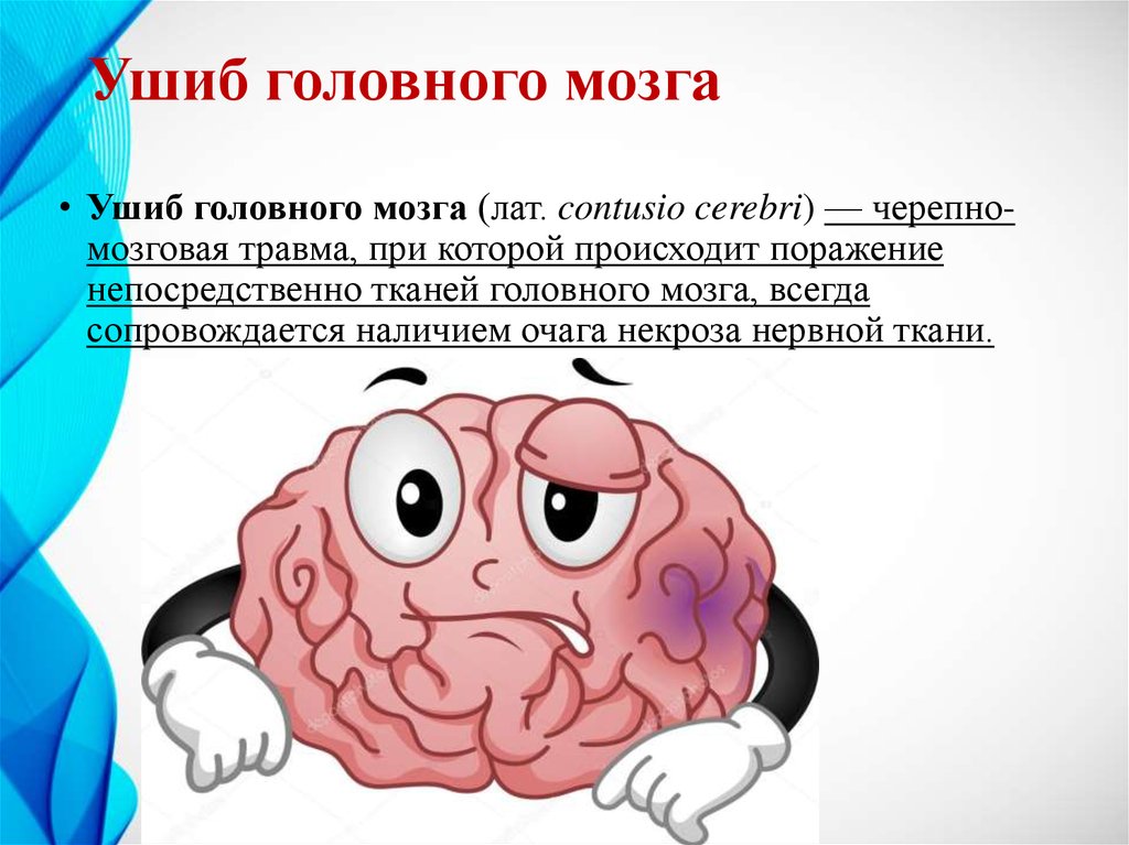 Глупый мозг. Основные симптомы ушиба головного мозга. Механизмы ушиба головного мозга. Сотрясение и ушиб головного мозга.
