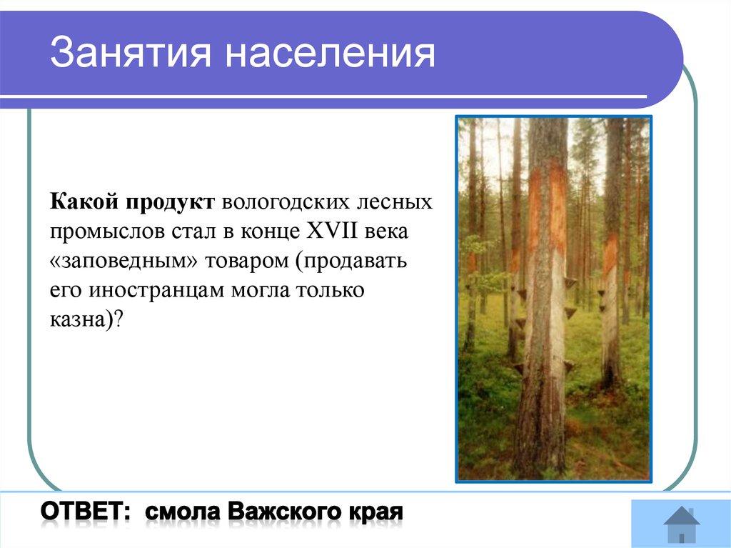 Население лесов. Занятие населения лесов. Зона лесов занятия населения. Занятия людей в зоне лесов. Население зоны лесов.