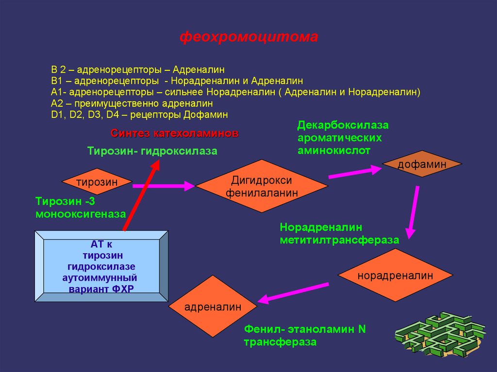 Заболевания адреналина