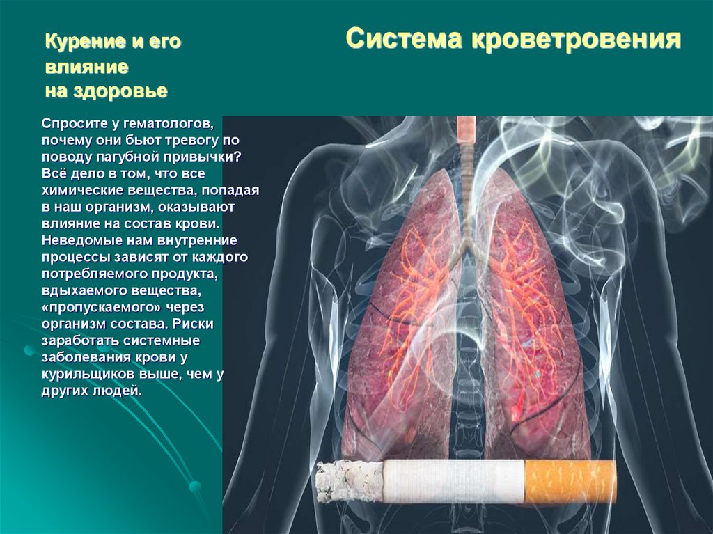 Действие курения на человека. Курение на организм человека. Влияние табакокурения на организм. Влияние табакокурения на здоровье.