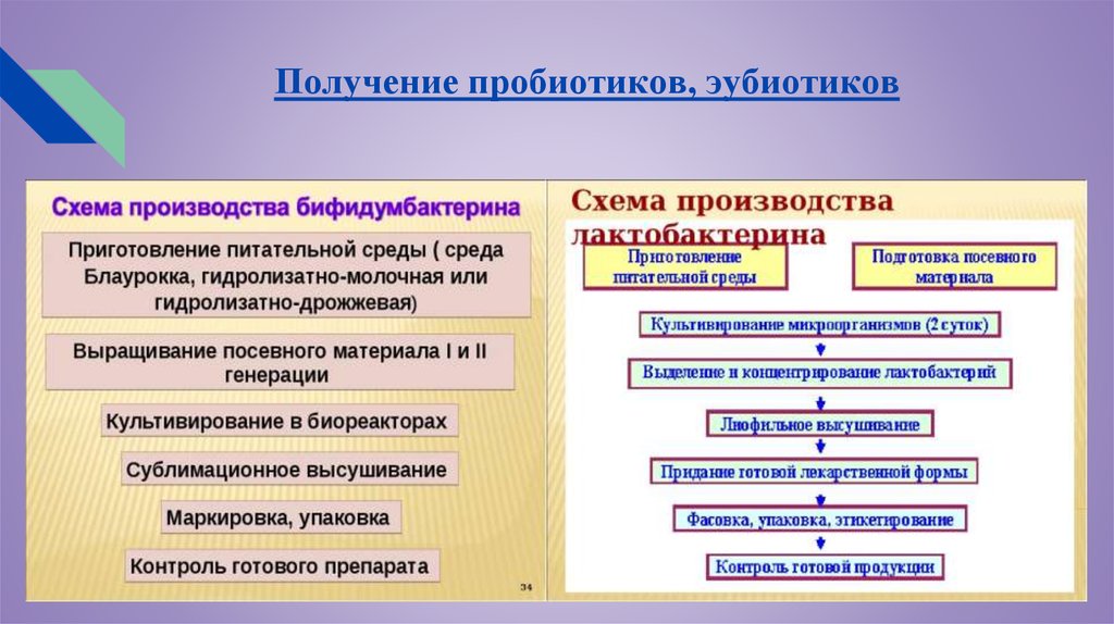 Технологическая схема производства пробиотиков