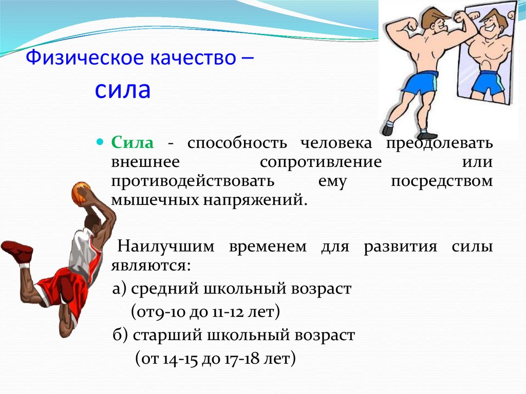 Развитие силы гибкости. Физическое качество сила. Физические качества человека. Характеристика физических качеств. Физические качества человека сила.