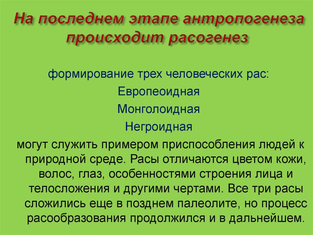 Бригада лесорубов должна была по плану заготовить за несколько дней 216 м3 древесины