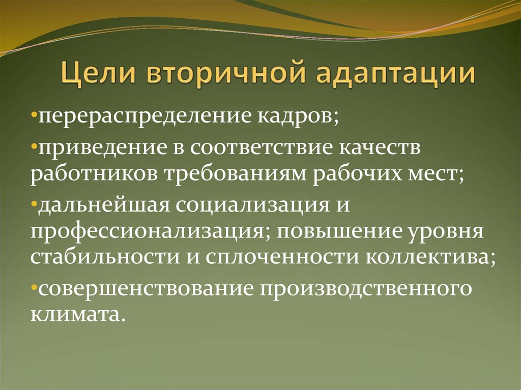 Методы адаптации. Первичная и вторичная адаптация персонала. Цель вторичной адаптации. Вторичная адаптация сотрудников. Вторичная адаптация персонала.