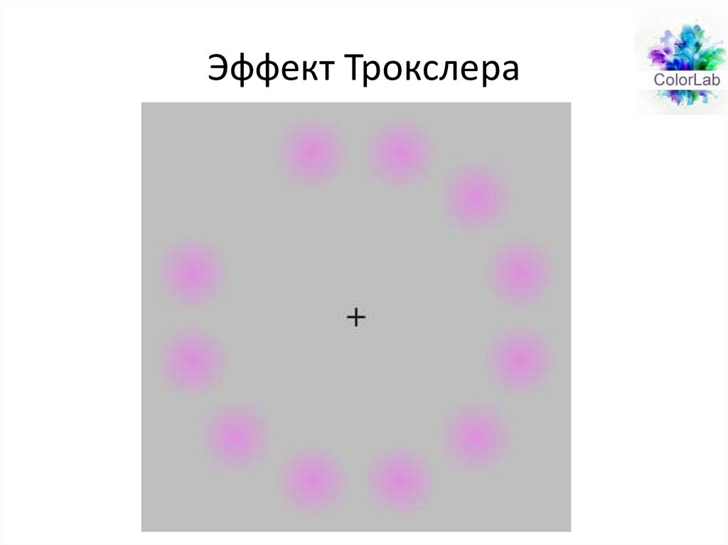 Эффект Трокслера