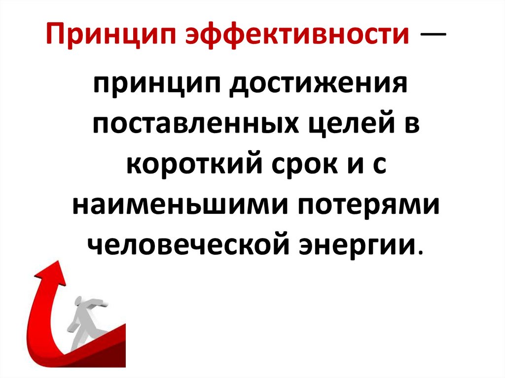 Меньше потерь. Принцип эффективности. Принцип достижения целей в короткий срок. Принцип эффективности цели. Главный принцип достижения поставленной цели.