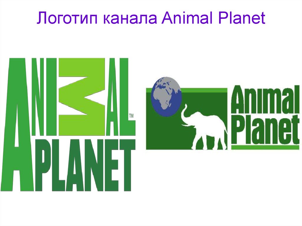 Логотип канала Animal Planet