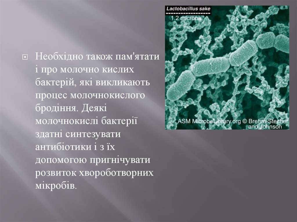 Реферат: Вплив факторів зовнішнього середовища на мікроорганізми