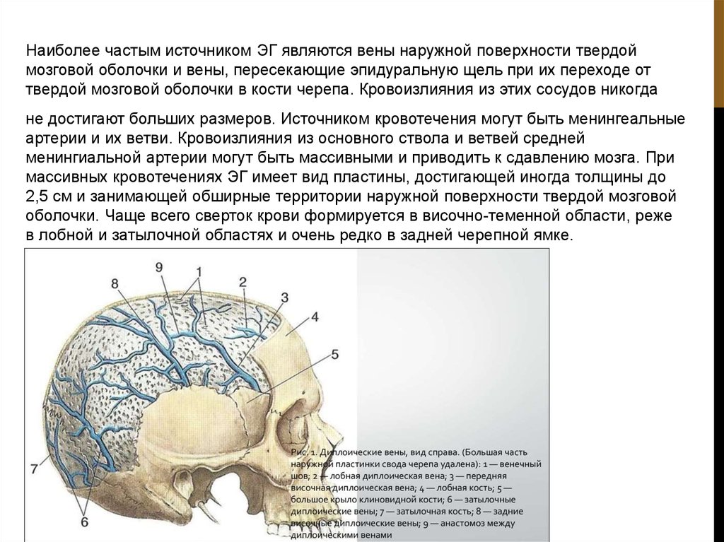 Оболочки кости