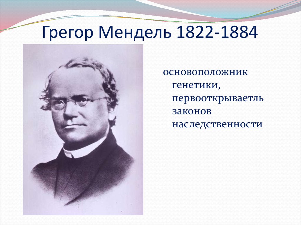 Создатель генетики. Грегор Мендель (1822—1884). Грегор Мендель основоположник генетики. Мендель 1822-1884 презентация. Мендель основоположник науки.