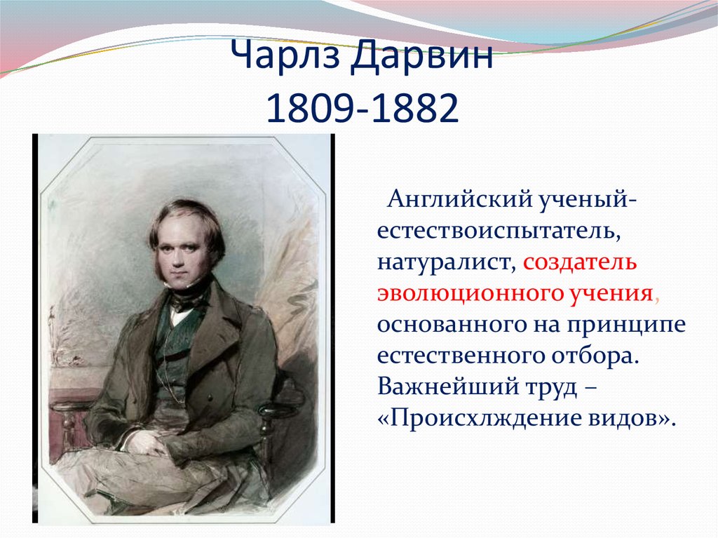 Великий естество. Дарвин, Чарлз (1809–1882), британский биолог.. Дарвин Великий английский естествоиспытатель. Английский естествоиспытатель и биолог 19 века. Ученый натуралист.