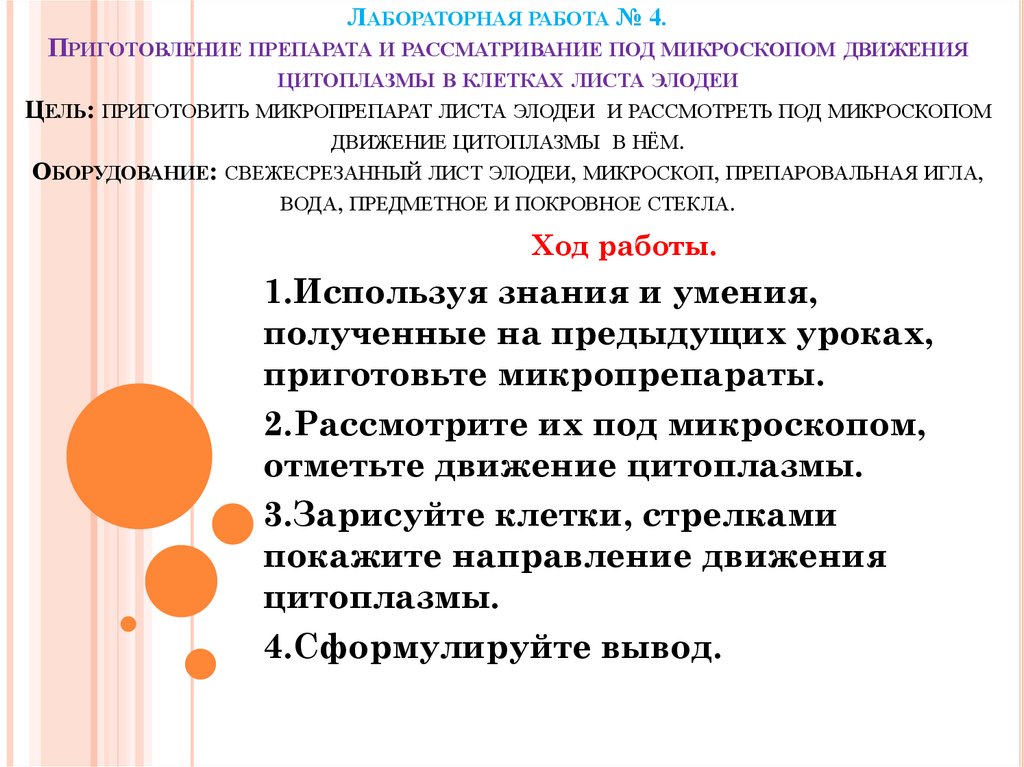 Наблюдать движение. Лабораторная работа движение цитоплазмы. Наблюдение движения цитоплазмы вывод лабораторная работа. Лабораторная работа наблюдение движения цитоплазмы на примере. Движение цитоплазмы в клетке лабораторная работа.