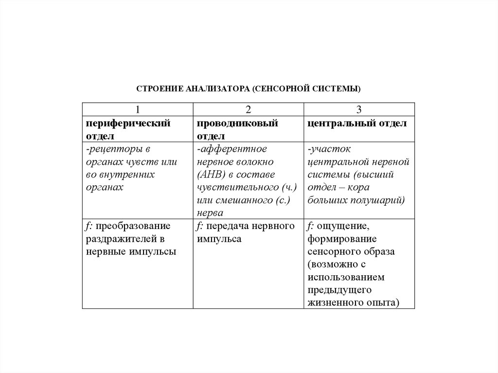 Строение анализатора биология таблица