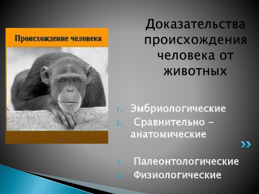 Докажи что животное. Эмбриологические доказательства происхождения человека. Эмбриологические доказательства животного происхождения человека. Эмбриологические доказательства происхождения человека от животных. Доказательство развития человека от животного.