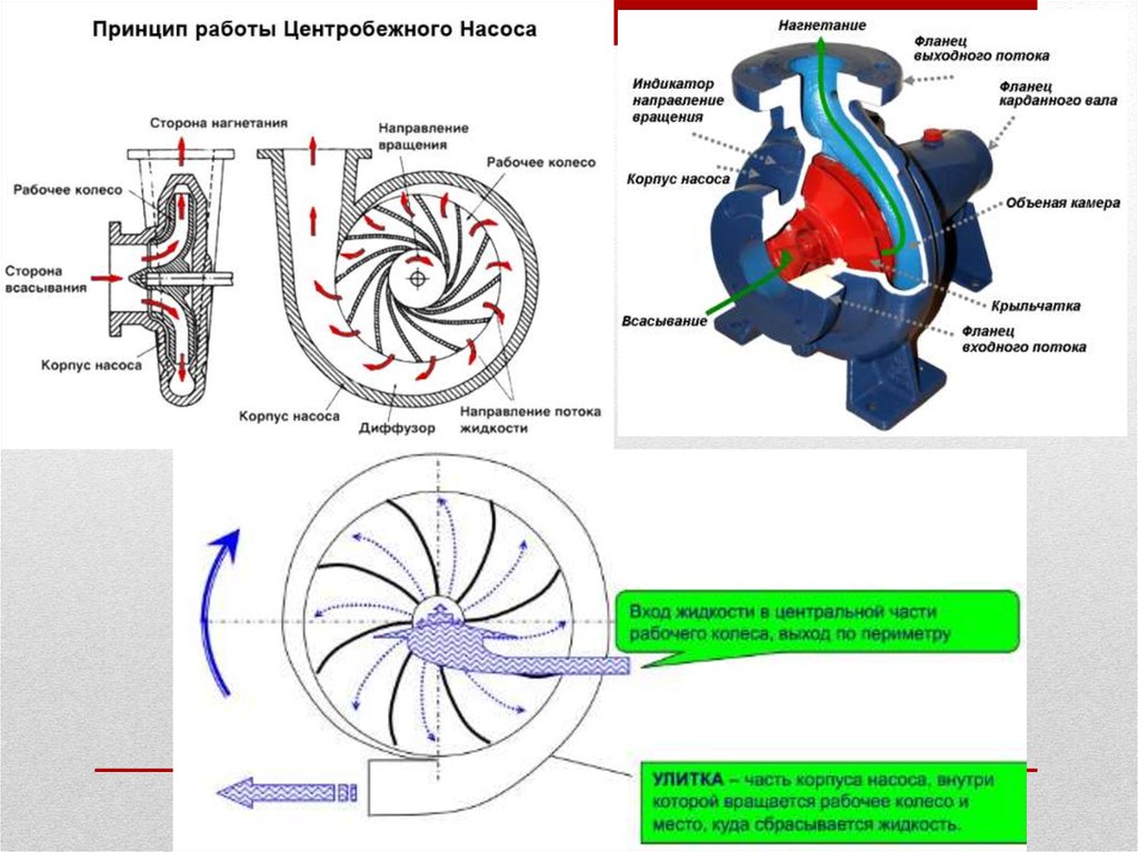 Принцип работы центробежного насоса схема