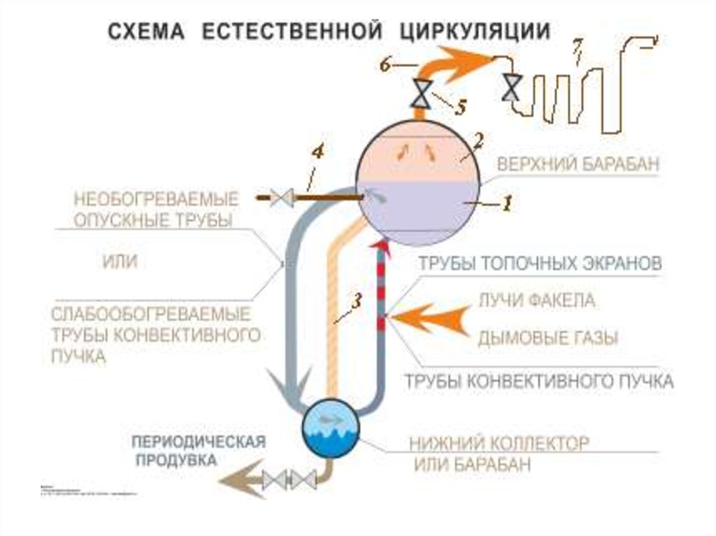 Контур циркуляции. Схема естественной циркуляции паровых котлов. Схема естественной циркуляции воды в котлах. Схема естественной циркуляции в паровых котлах. Схема парового котла с естественной циркуляцией.