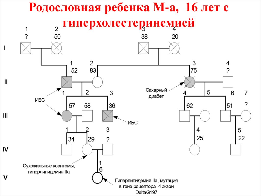 Родословная детям. Родословные для детей. Родословная ребенка педиатрия. Родословная ребенка детская поликлиника. Дети в родословной подвешиваются линией.