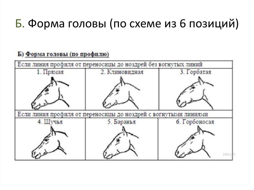 По предложенной схеме