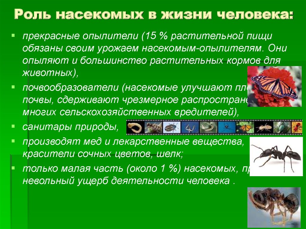 Роль в их жизни. Роль насекомых в жизни человека. Роль насекомых в природе. Роль одомашненных насекомых в жизни человека. Роли у общественных насекомых.