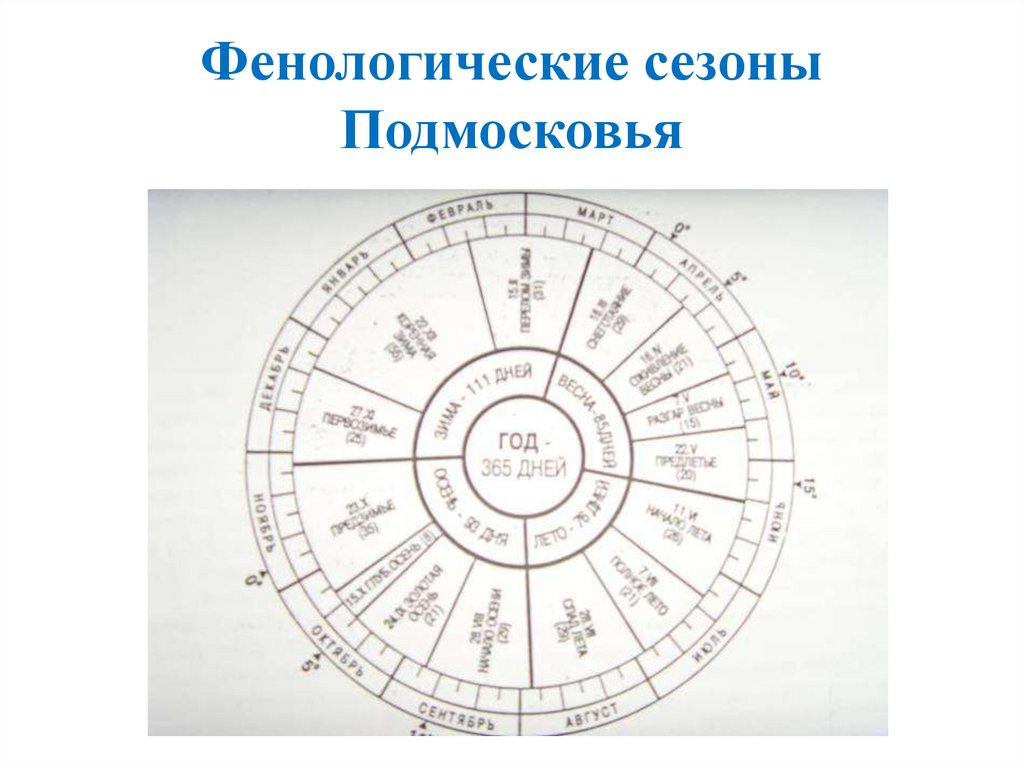 Презентация фенологические наблюдения за сезонными изменениями в природе 5 класс