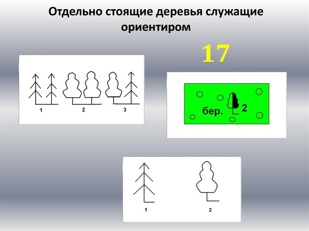 Отдельно стоит. Знак отдельно стоящее дерево. Отдельно стоящее дерево условный знак. Обозначение отдельно стоящего дерева. Топографический знак дерево.