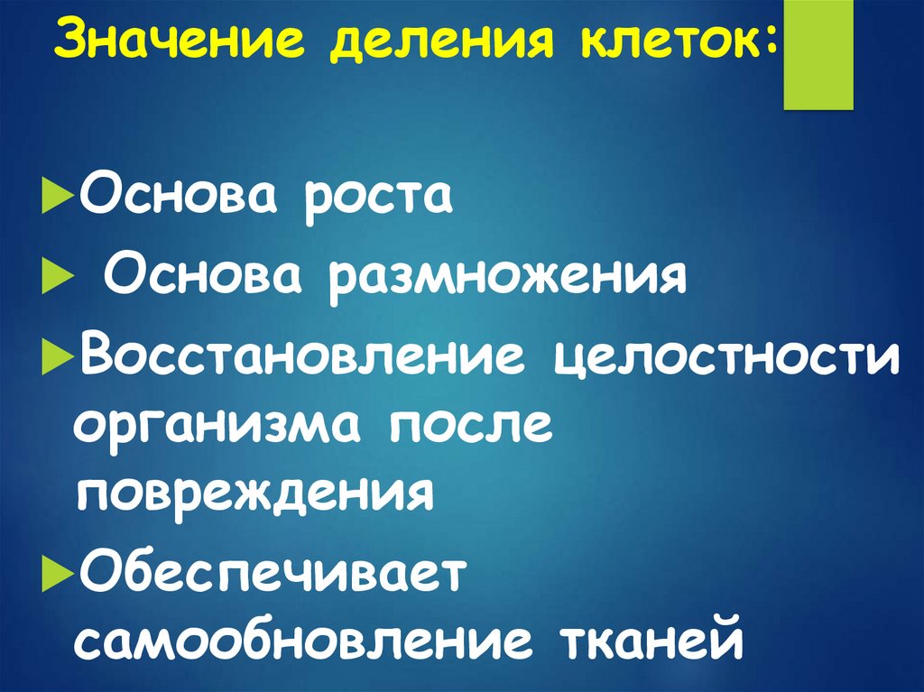 Каково значение деления в жизни растения