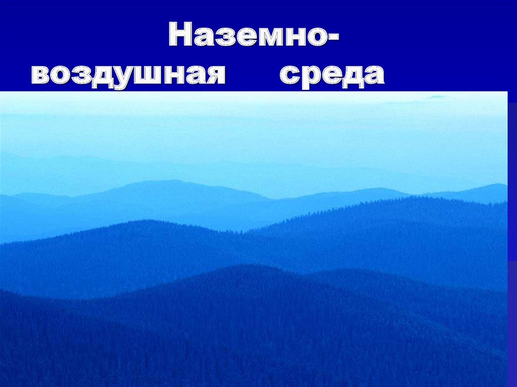 Тест по теме наземно воздушная среда. Наземно-воздушная среда. Наземно-воздушная среда обитания фото. Фон для презентации наземно-воздушная. Наземно воздушные знаки.