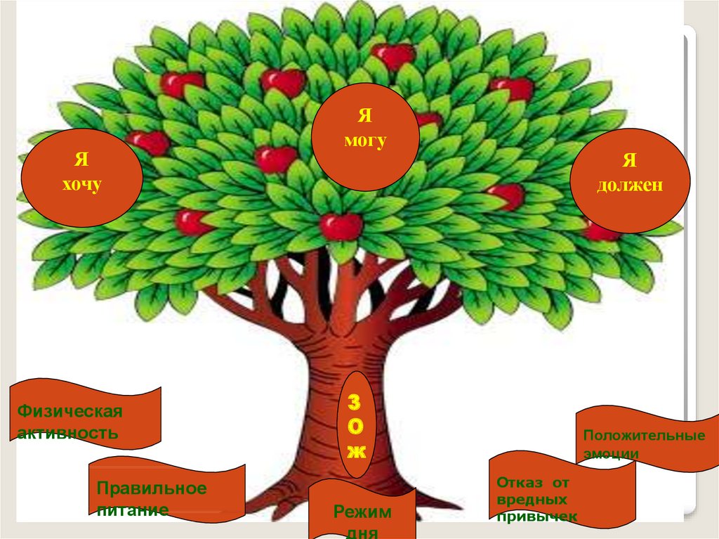 Дерево здоровья в картинках для детей