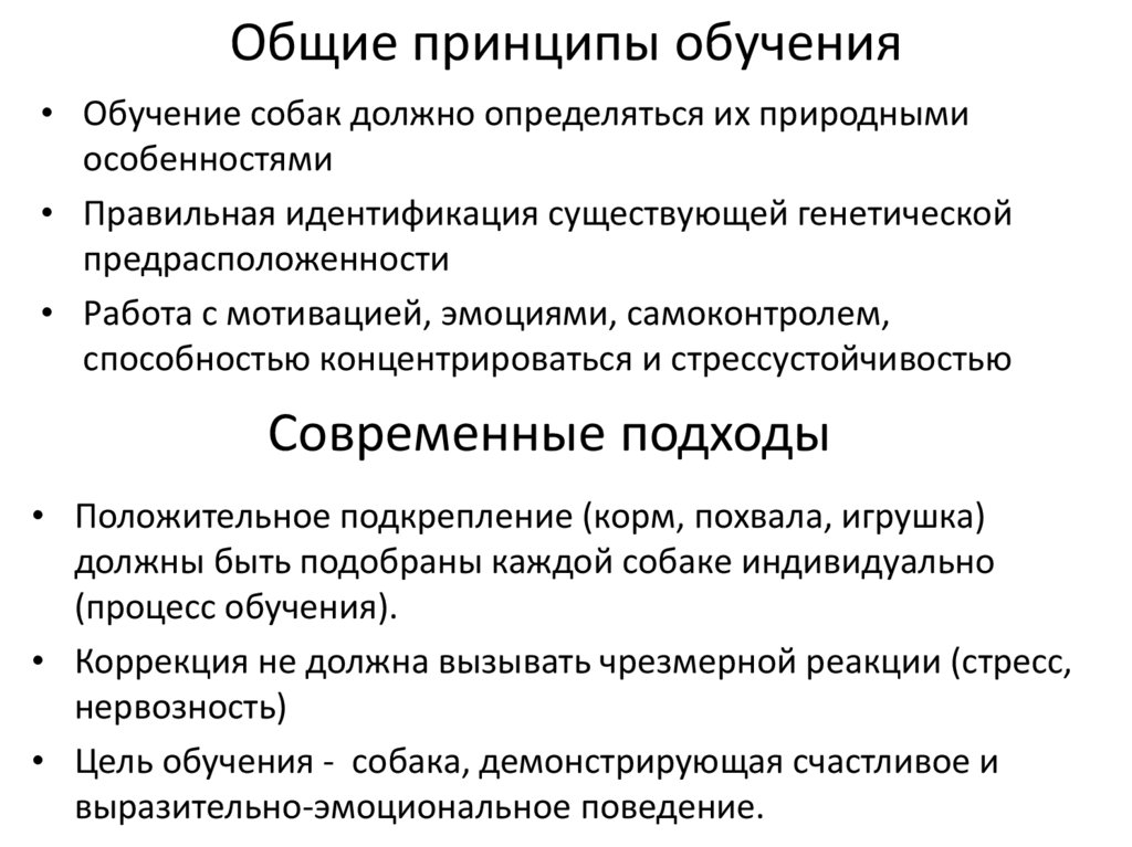 Принципы преподавания брюэра. Основные принципы обучения. Основные теории обучения. Принципы общего образования. Основные принципы теории обучения.