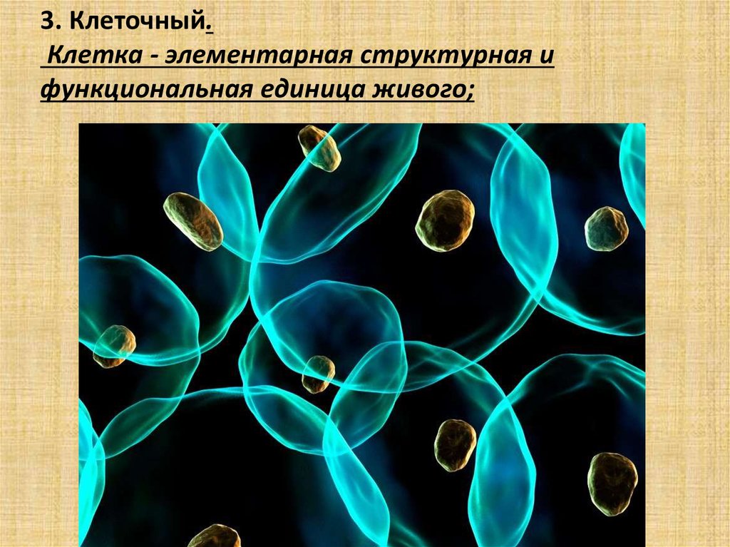 Живая части. Клетка структурная и функциональная единица всех живых организмов. Клетка единица живого. Клетка как структурно-функциональная единица живого. Клетка это основная структурная единица живого.