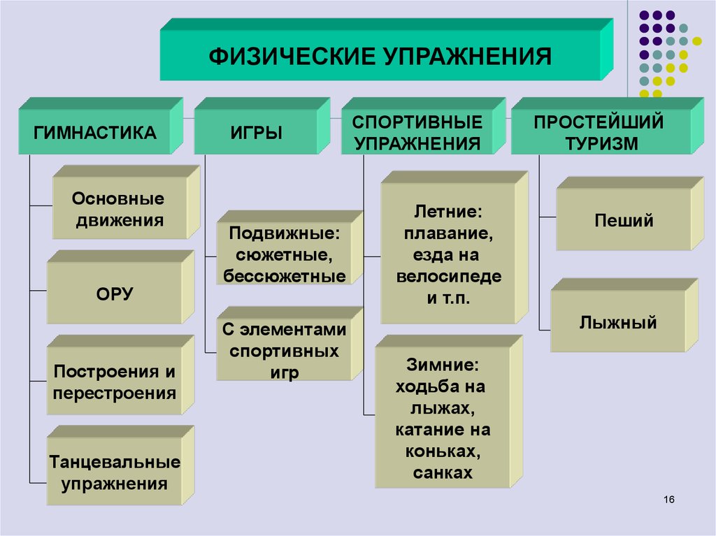 Направления физического воспитания. Направления физической культуры взрослого населения. Основное направление физического воспитания взрослого населения. Направления физической культуры взрослого населения тест. Физические направления примеры.