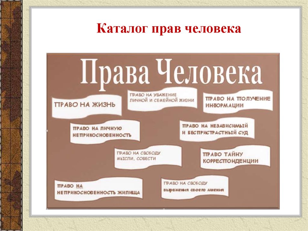 Презентация по правам и свободам человека и гражданина