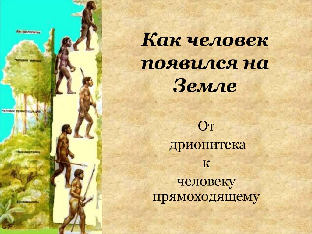 Проект как появился человек на земле 5 класс биология