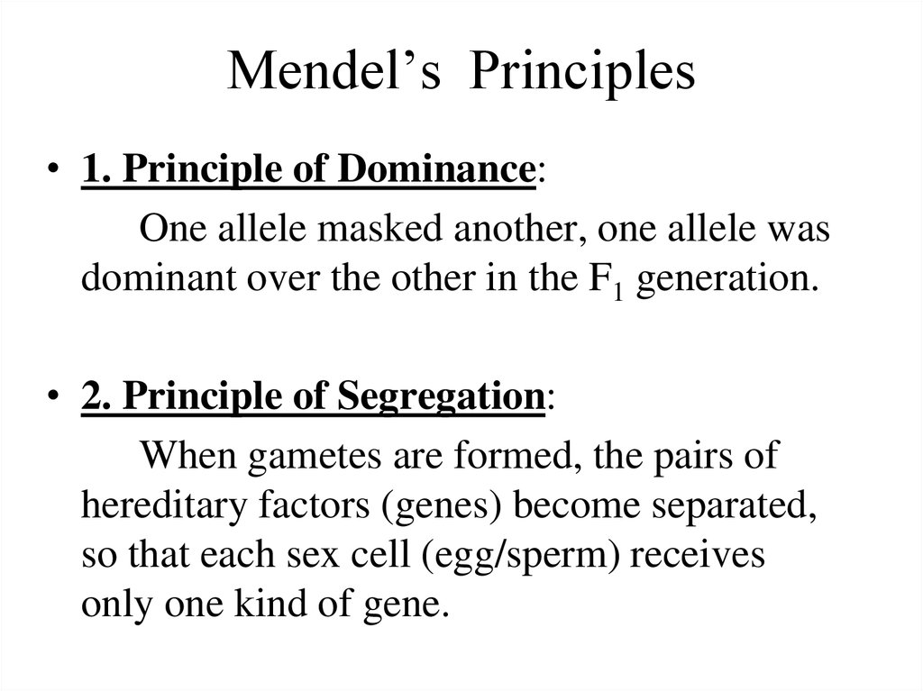 Genetics Mendelian Principles 