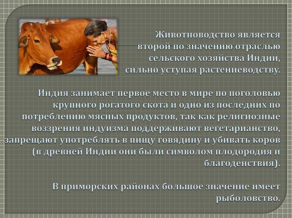 Животноводство является второй по значению отраслью сельского хозяйства Индии, сильно уступая растениеводству. Индия занимает