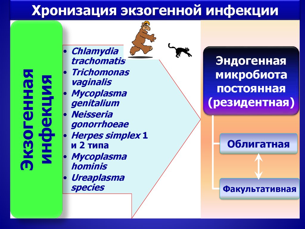 Хронизация процесса это. Хронизация.