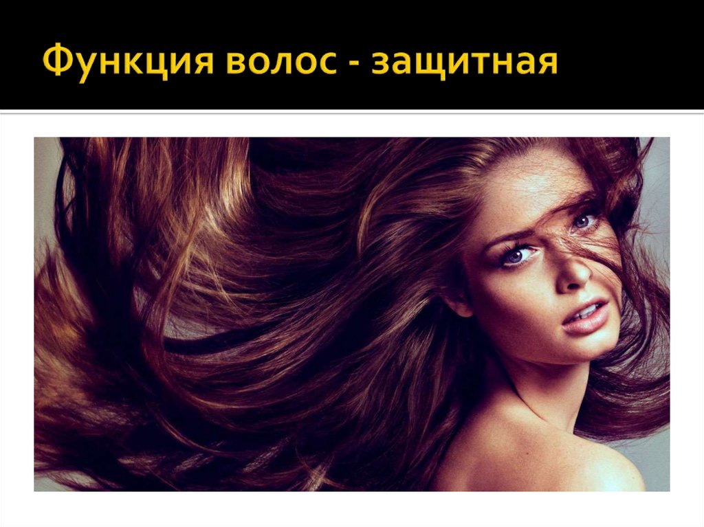 Функция волос - защитная