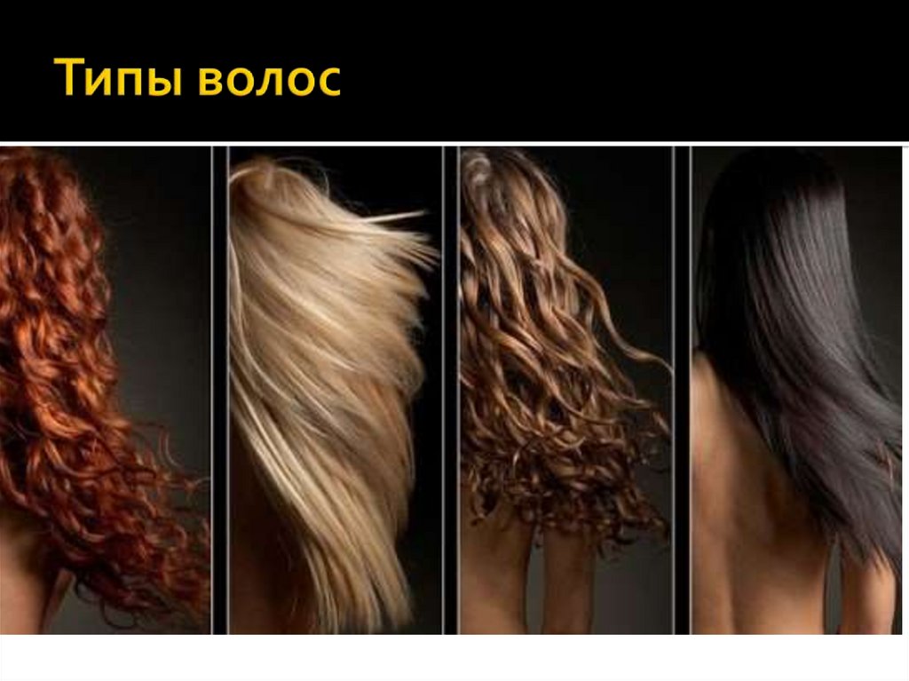 Типы волос