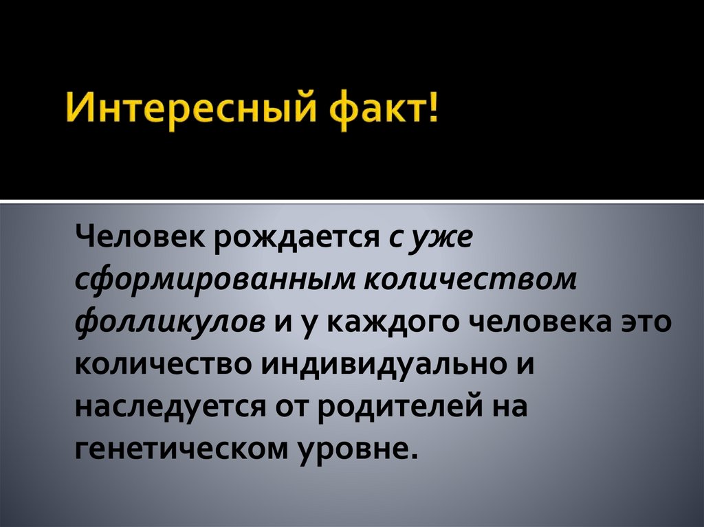 Интересный факт!