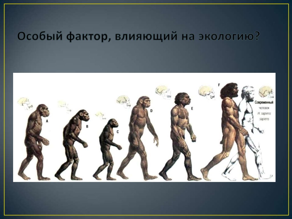 Воздействие человека носит. Особый фактор влияющий на природу. Специальные факторы.