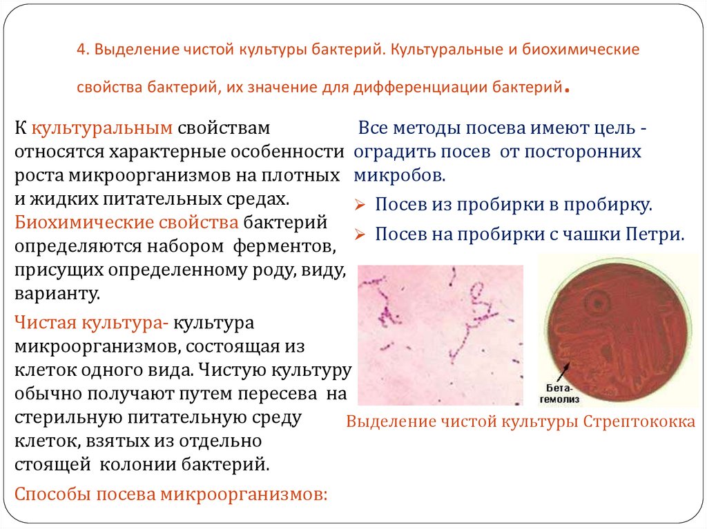 4. Выделение чистой культуры бактерий. Культуральные и биохимические свойства бактерий, их значение для дифференциации