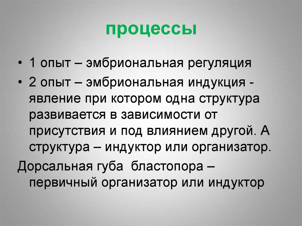 Процесс эксперимента