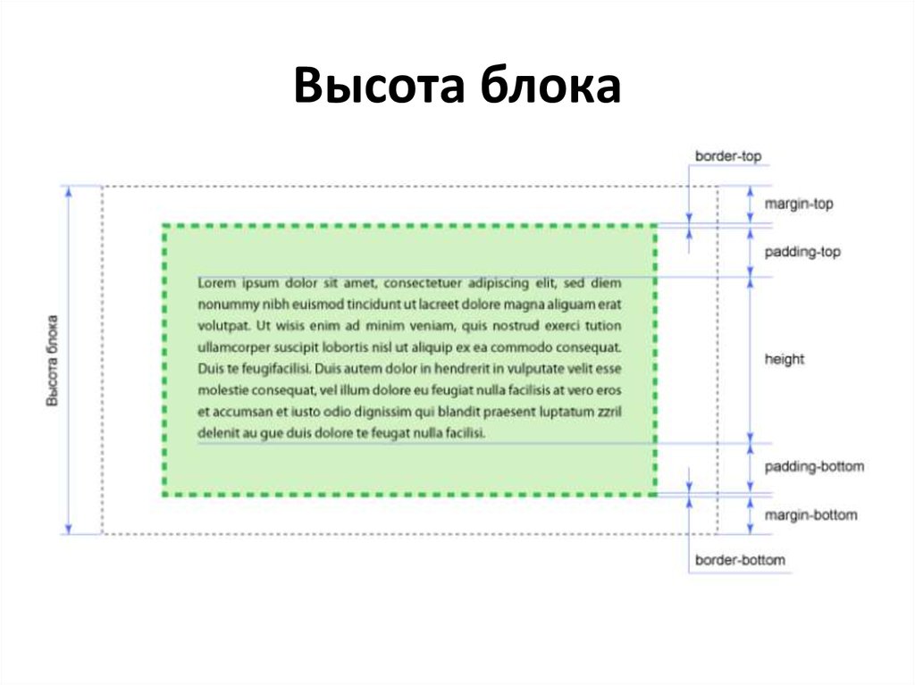 Высота блока