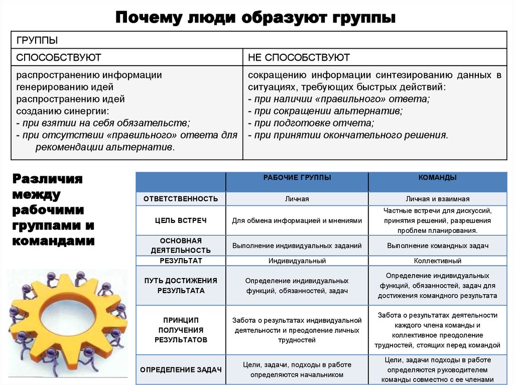 Группы образованы