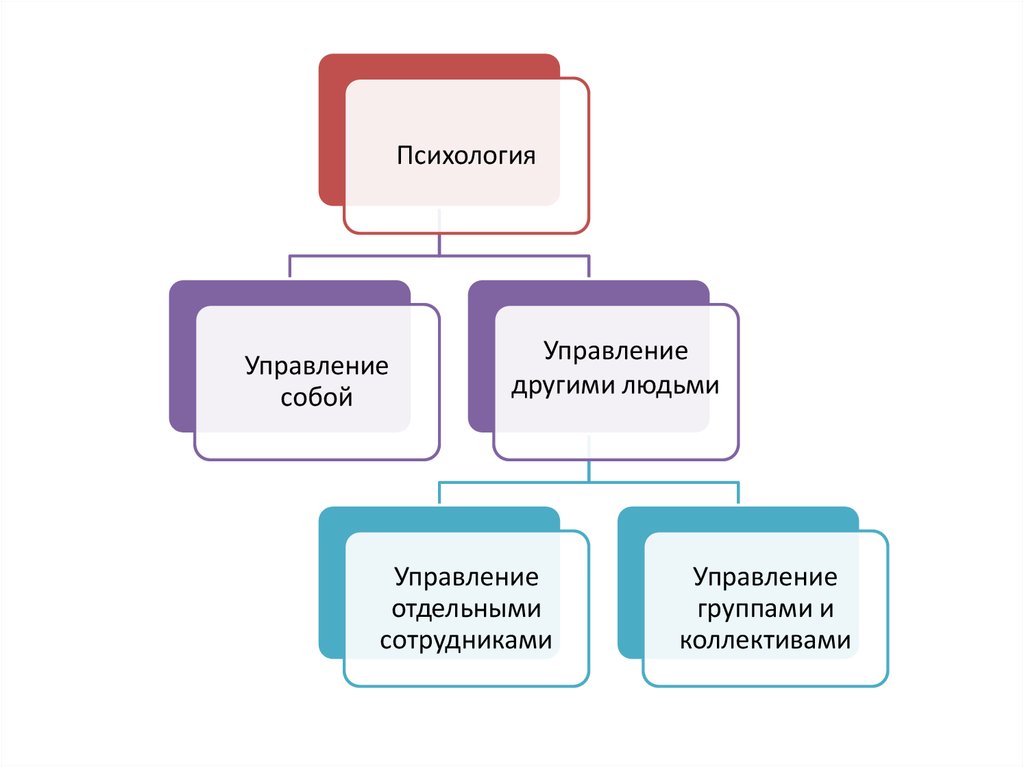 Психология управления проектами