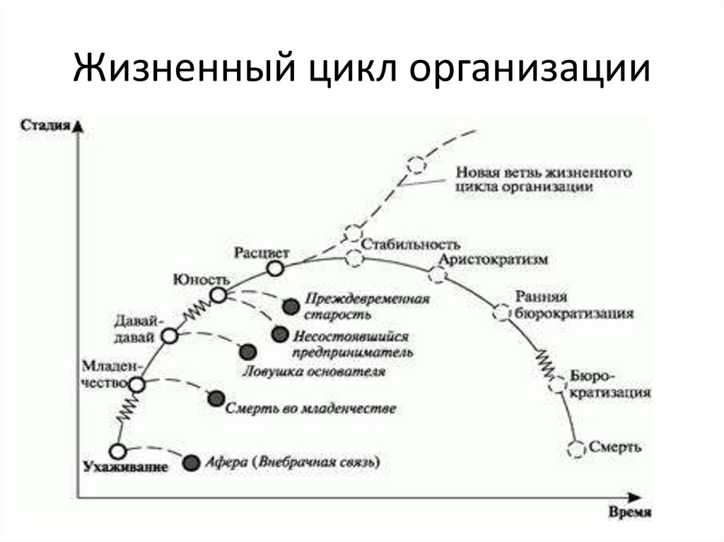 Цикл организации. Модель Мильнер жизненный цикл организации. Этапы жизненного цикла организации по Мильнеру. Жизненный цикл компании схема. Жизненный цикл организации. Этапы жизненного цикла.